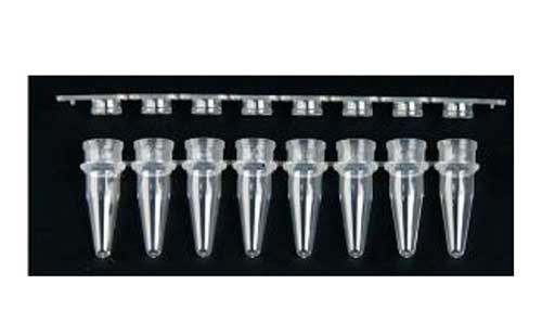 Allied 8 strip PCR Tube with Cap